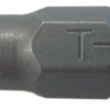 PUNTA TORX     T15        25MM